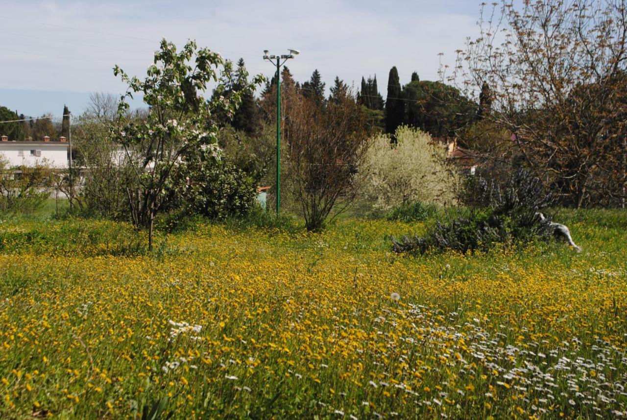Agriturismo Fattoria Di Malavolta Φλωρεντία Εξωτερικό φωτογραφία