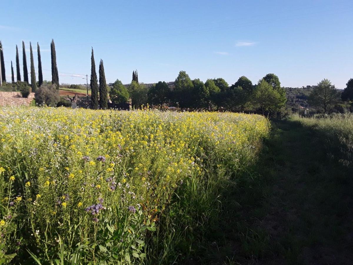 Agriturismo Fattoria Di Malavolta Φλωρεντία Εξωτερικό φωτογραφία