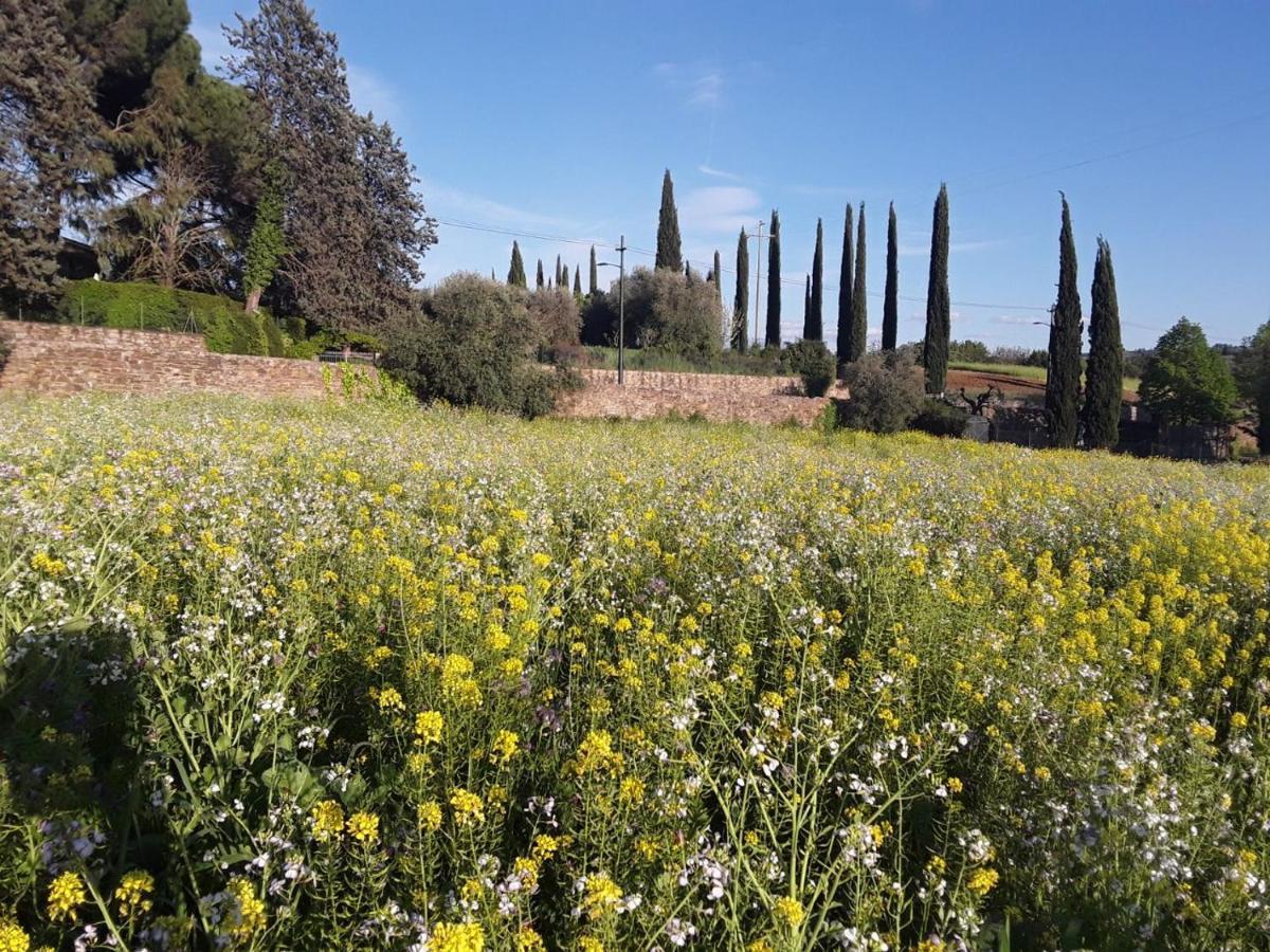 Agriturismo Fattoria Di Malavolta Φλωρεντία Εξωτερικό φωτογραφία